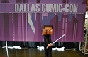 DCCFanDays2013_Day-2 (125)